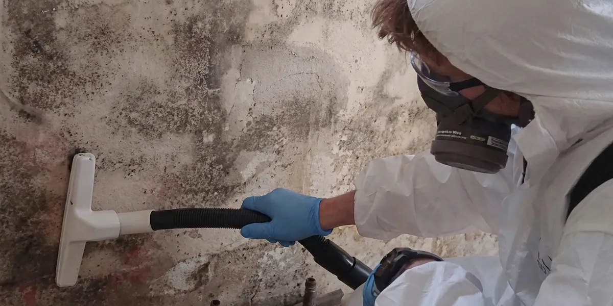professional mold removal technician wearing protective equipment removing mold from a wall in Long Beach, CA